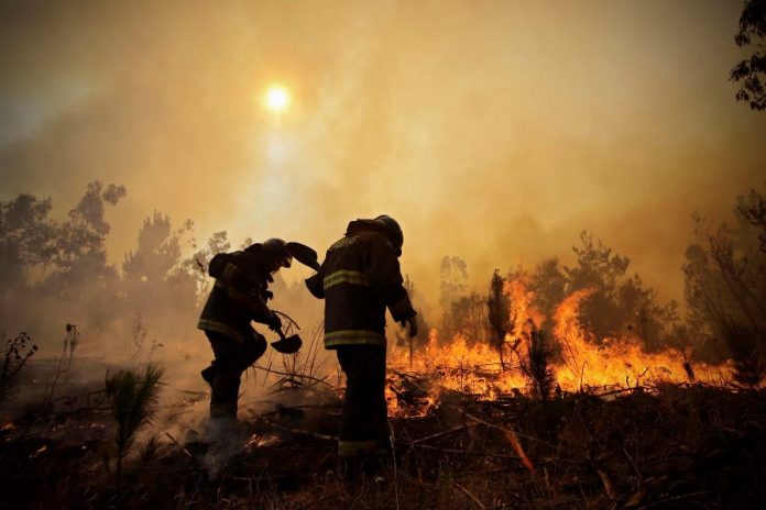 APTOPIX Chile Wildfires