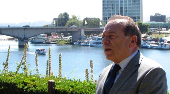 diputado bernardo berger