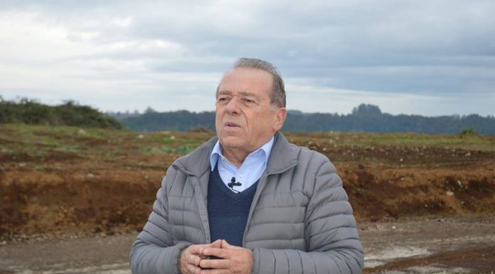 Diputado Bernardo Berger Fett
