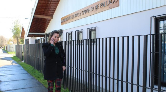 Seremi Fehrmann en juzgado Garantía de Paillaco