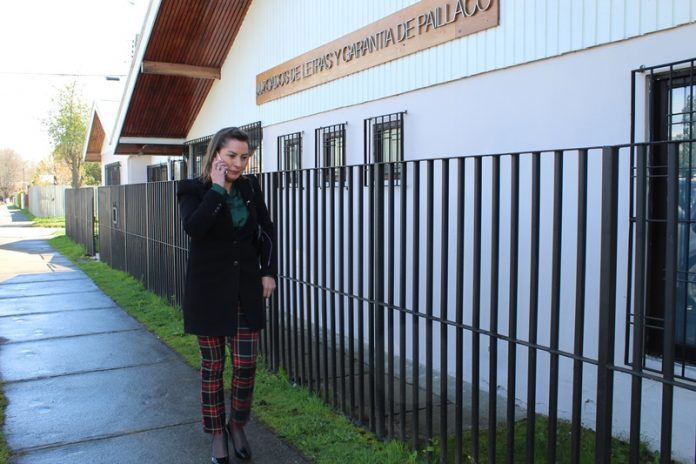 Seremi Fehrmann en juzgado Garantía de Paillaco