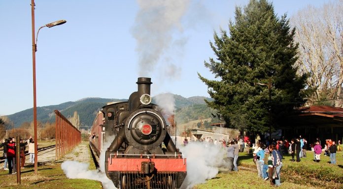 Tren El Valdiviano primavera