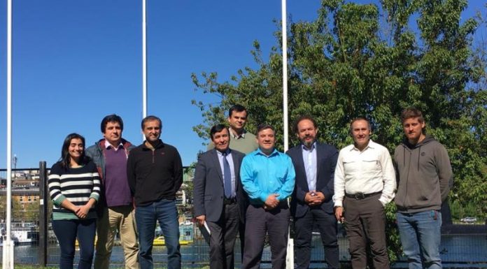 parque urbano en corral
