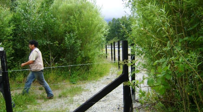 bienes nacionales rio calcurrupe