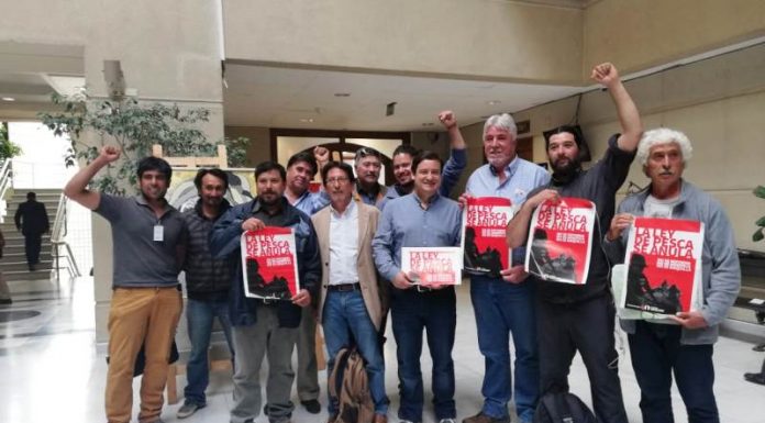 diputado rosas