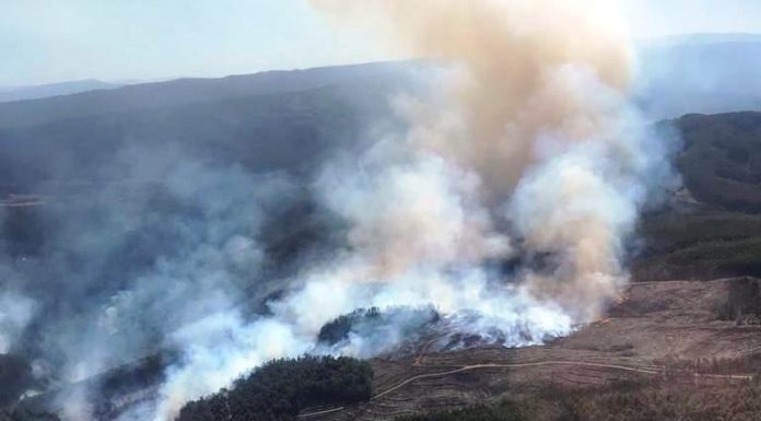 incendios forestales