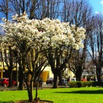 plaza de la concordia