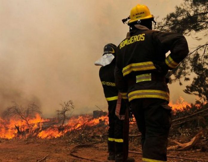 agreden-a-bomberos-en-combate-de-incendio-forestal-en-ercilla