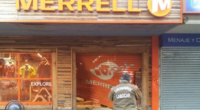 dr martens pascal zip