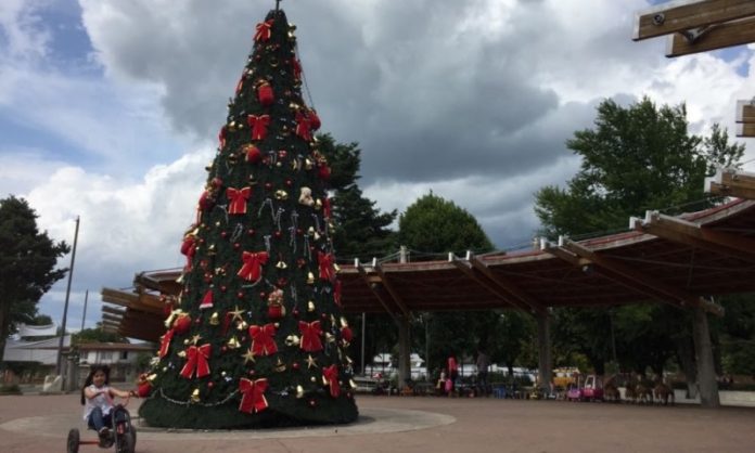 arbol de navidad paillaco