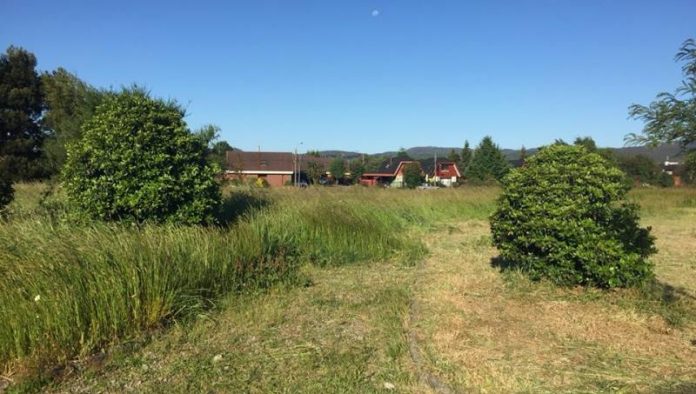 mantencion areas verdes