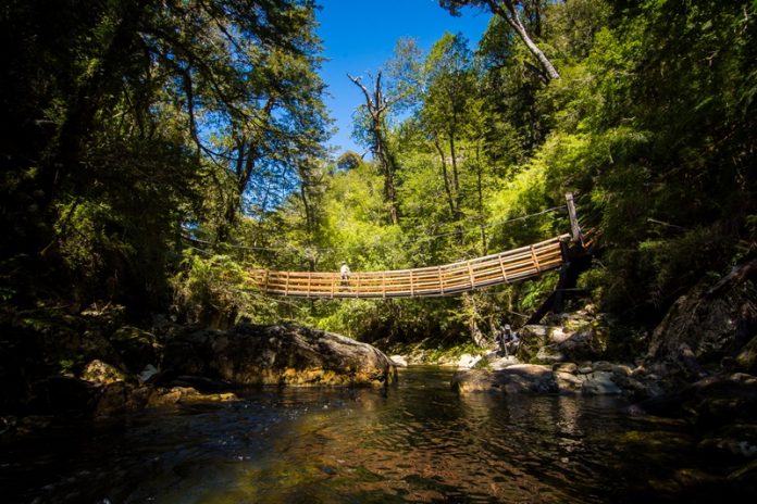 parque alerce costero