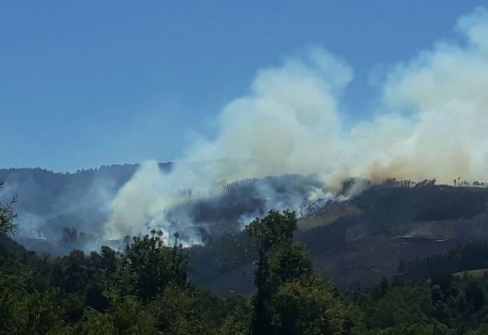 incendio forestal mariquina