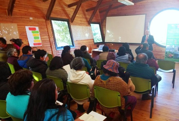 taller maqui maihue