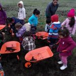 Foto 2 invernadero jardín Relmu Wepul