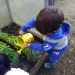 Foto 4 invernadero jardín Relmu Wepul