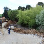 humedal el manzanal la union (2)