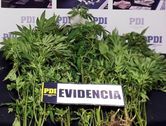 marihuana