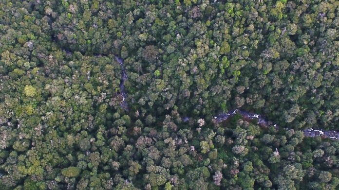 a5345ddc-6c3d-422b-aec8-60a398426fc0