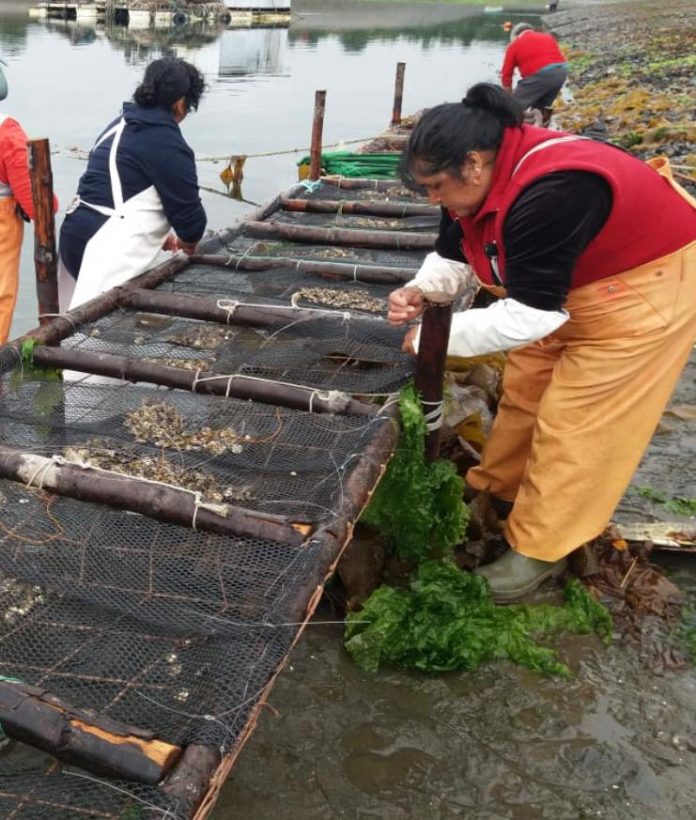 Mujeres Pescadoras