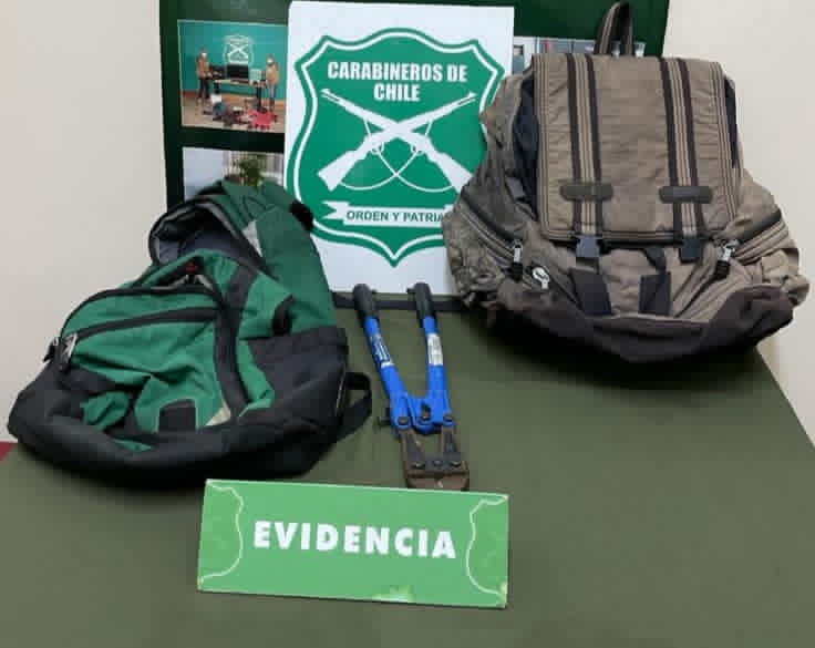 Carabineros de Valdivia detienen a dos sujetos por robo en lugar no ...