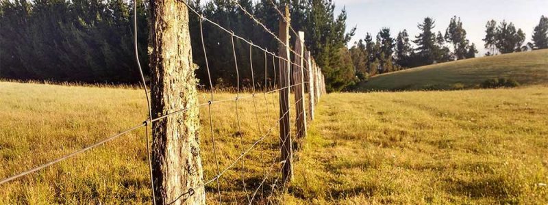 propiedad_no_inscrita