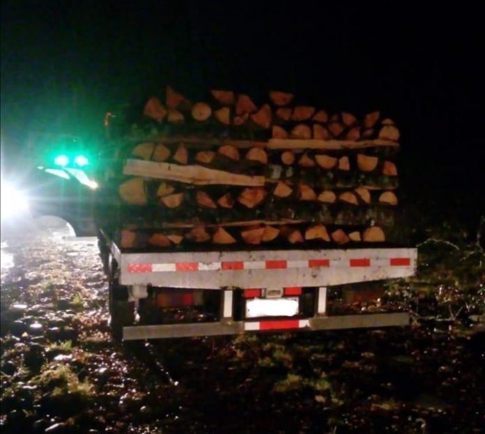 WhatsApp Image 2022-06-15 at 2.11.43 PM