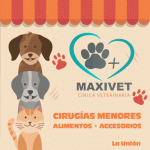 MAXIVET FINAL