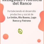 BANNER ZZRR Lateral