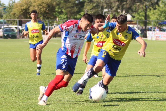 linares ranco 2