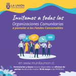 baner-seba-organizaciones