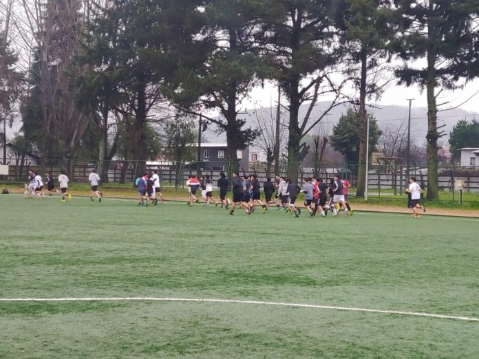 c13b7678-82b5-4c5a-a8cf-e5eacf3c179f