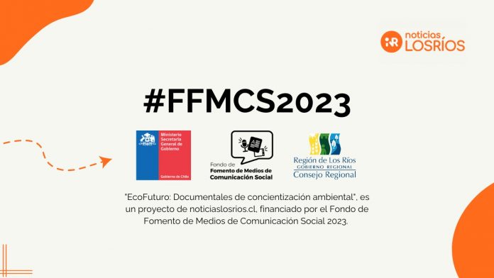 WhatsApp Image 2023-08-05 at 22.30.27