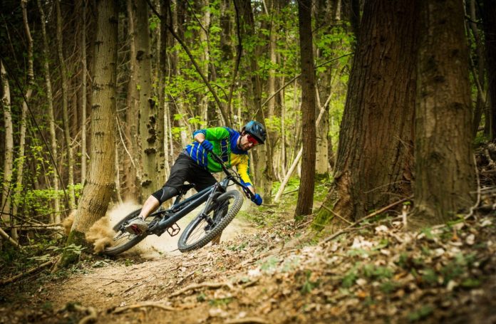 WhatsApp Image 2023-09-25 at 15.35.51