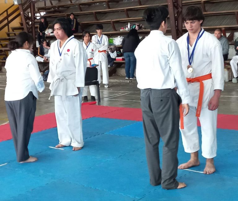 Estudiantes del Liceo TP Radio 24 de El Llolly destacaron en Campeonato Escolar de Karate en Paillaco