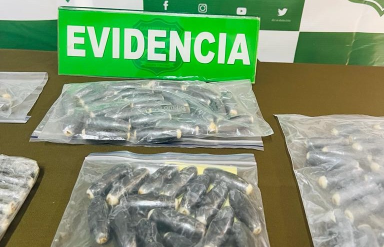 La Unión: En carretera Carabineros incautó ovoides de cocaína transportados al interior de los cuerpos de dos sujetos