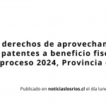 Banner X-Frame de Negocio en Beige Oro estilo Corporativo Amistoso