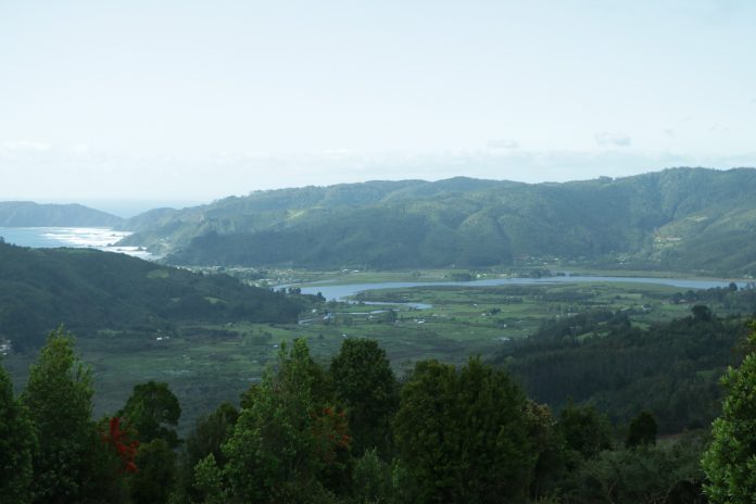 Mehuin