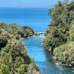 Desagu?e del lago Ranco