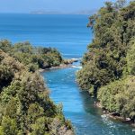 Desagu?e del lago Ranco
