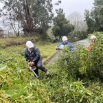 453246993_914803717351628_8922124314124302493_n