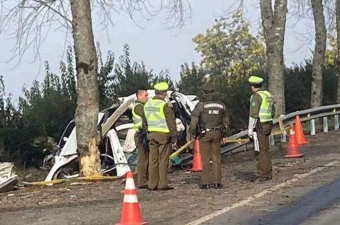 WhatsApp Image 2024-08-17 at 13.46.30