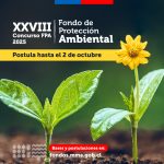 WhatsApp Image 2024-08-20 at 12.45.35