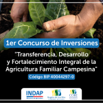 banner los rios_Mesa de trabajo 1