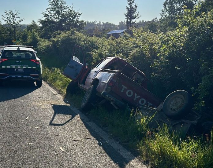 WhatsApp Image 2024-11-21 at 19.17.30