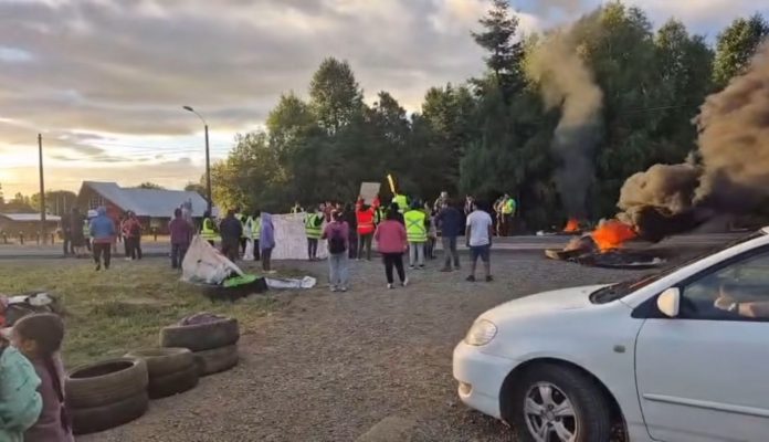 WhatsApp Image 2025-02-06 at 09.56.54