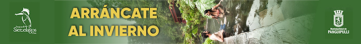 spot_img