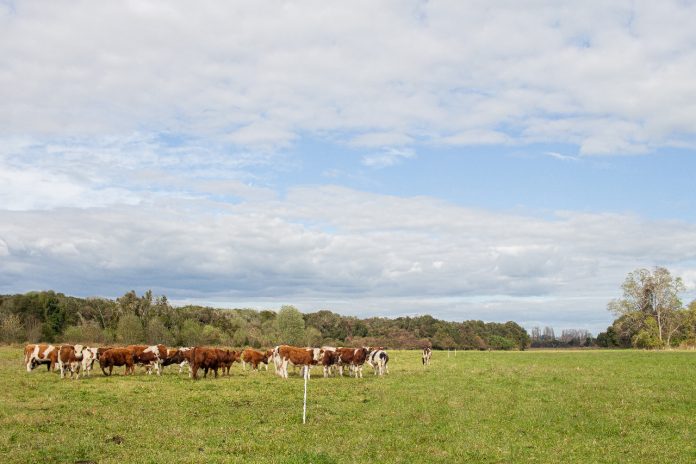 Taller fertilizacio?n en produccio?n agropecuaria 4
