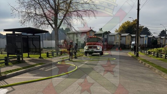 WhatsApp Image 2025-08-18 at 16.43.06