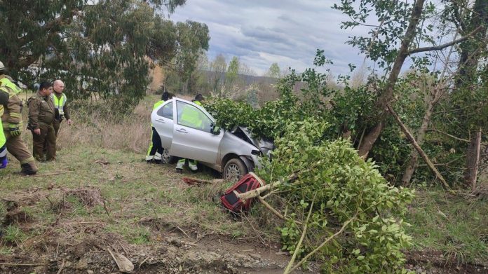 WhatsApp Image 2025-09-08 at 15.44.28